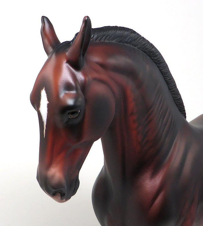 CATALONIA-LE-5 BAY SHAVED TAIL MARE ANDALUSIAN BY SHERYL LEISURE PRE-ORDER