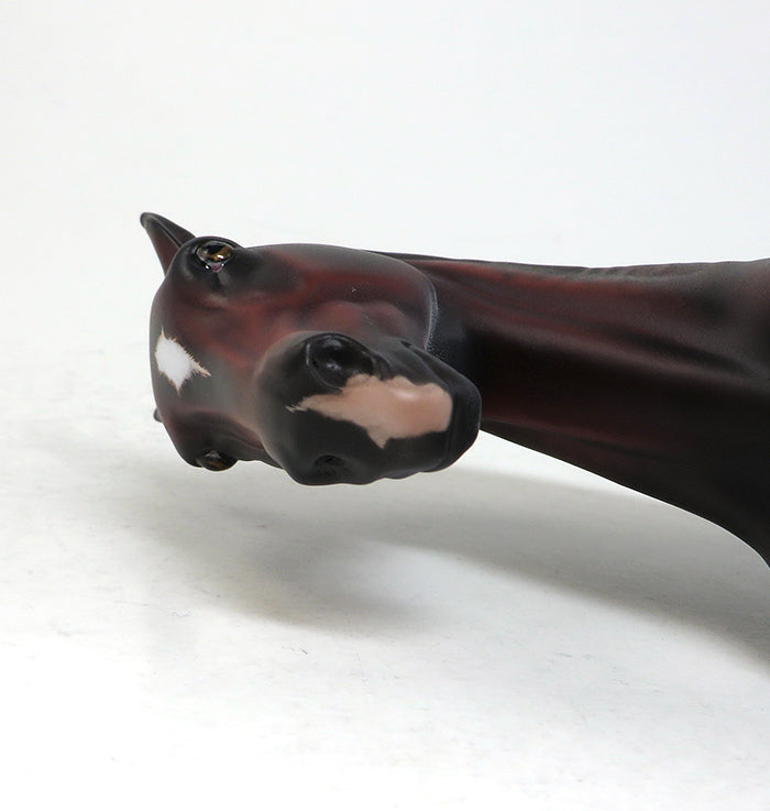 CATALONIA-LE-5 BAY SHAVED TAIL MARE ANDALUSIAN BY SHERYL LEISURE PRE-ORDER