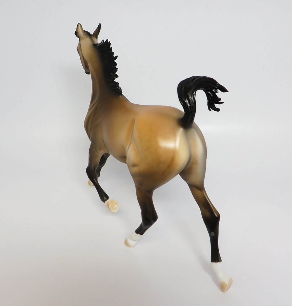 HABENERO~OOAK BUCKSKIN YEARLING MODEL HORSE 9/20/17