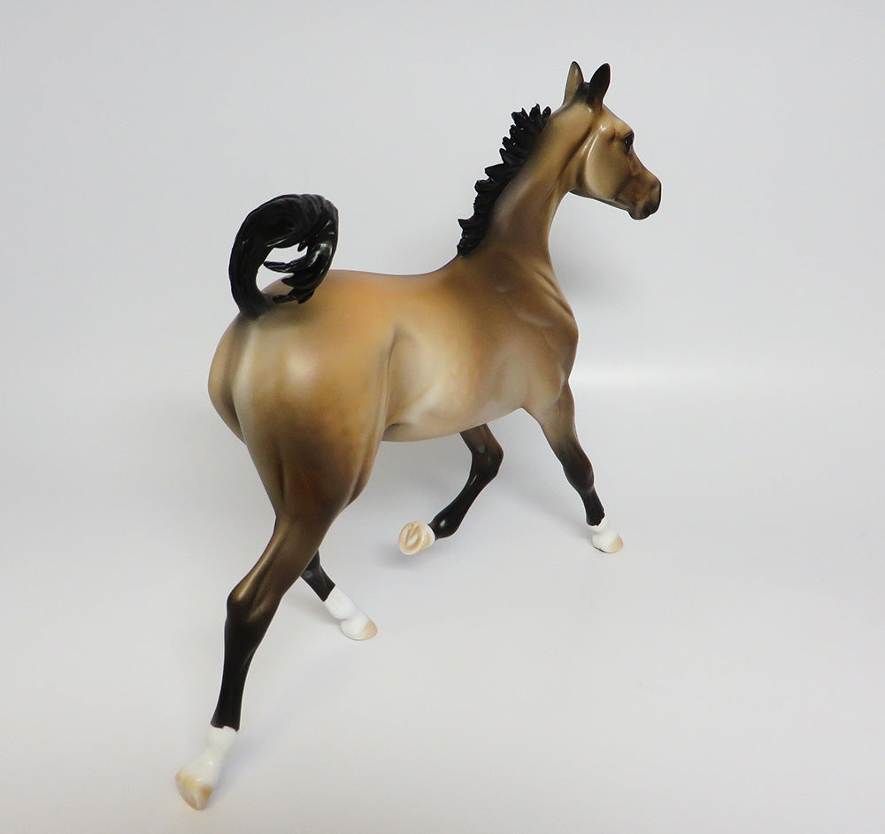 HABENERO~OOAK BUCKSKIN YEARLING MODEL HORSE 9/20/17