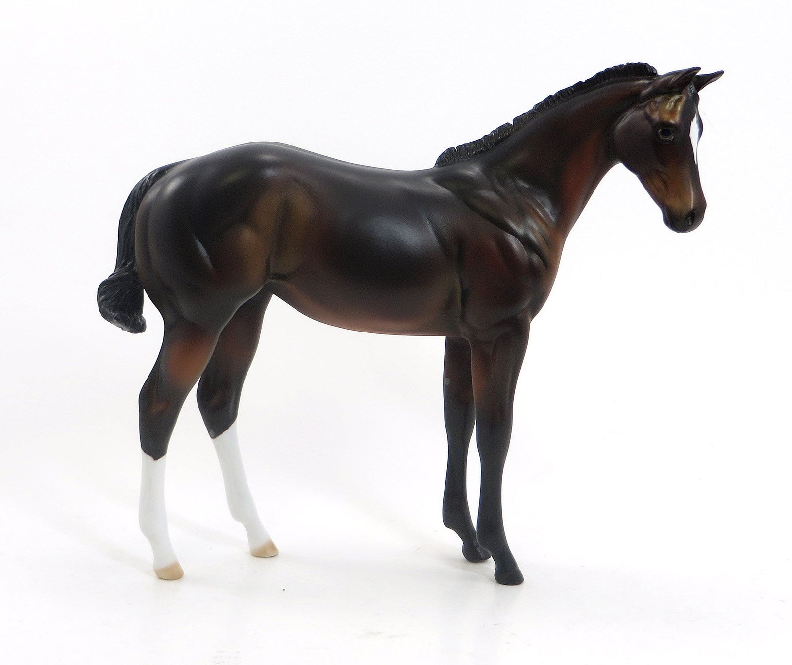 OPINE- EQ 2015 OOAK Seal Bay Weanling 7/23