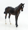OPINE- EQ 2015 OOAK Seal Bay Weanling 7/23