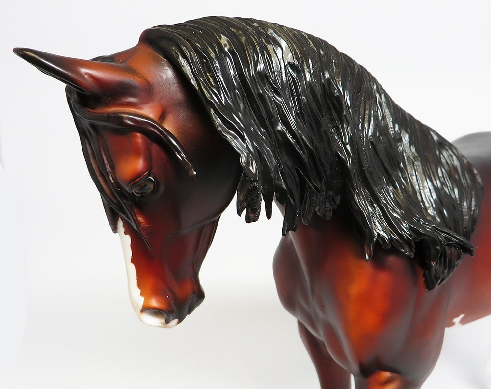 CLOVE~OOAK DAPPLE BAY SABINO THOROUGHBRED MODEL HORSE BY DAWN QUICK 9/20/17