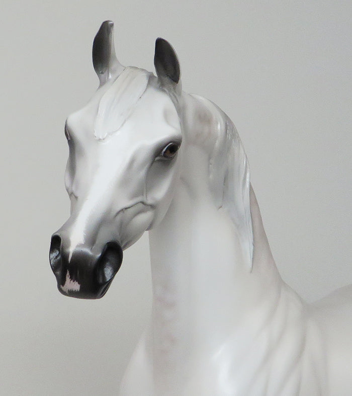 SHABOURA-OOAK DAPPLE GREY ARABIAN MODEL HORSE 5/11