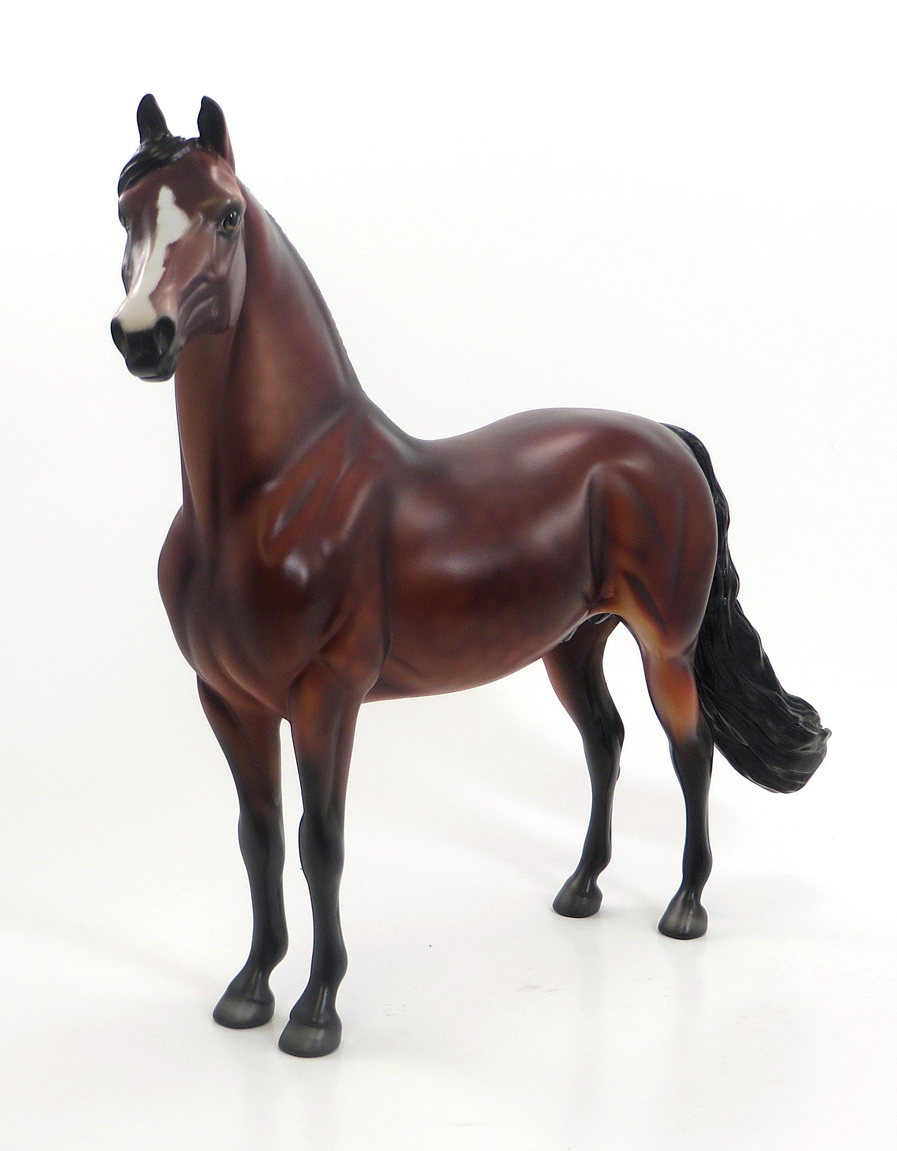 SOFT TOUCH - OOAK Dappled Blood Bay Morgan Model Horse - 7/24