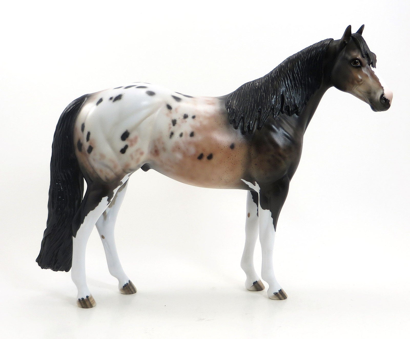 SIMONTONIAN - OOAK Bay Roan Appaloosa Stock Horse 7/24