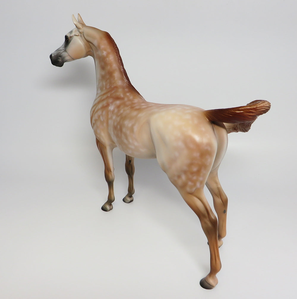 WASABI~OOAK STAR DAPPLE CHESTNUT GOING GREY ARABIAN MODEL HORSE BY DAWN QUICK 9/20/17