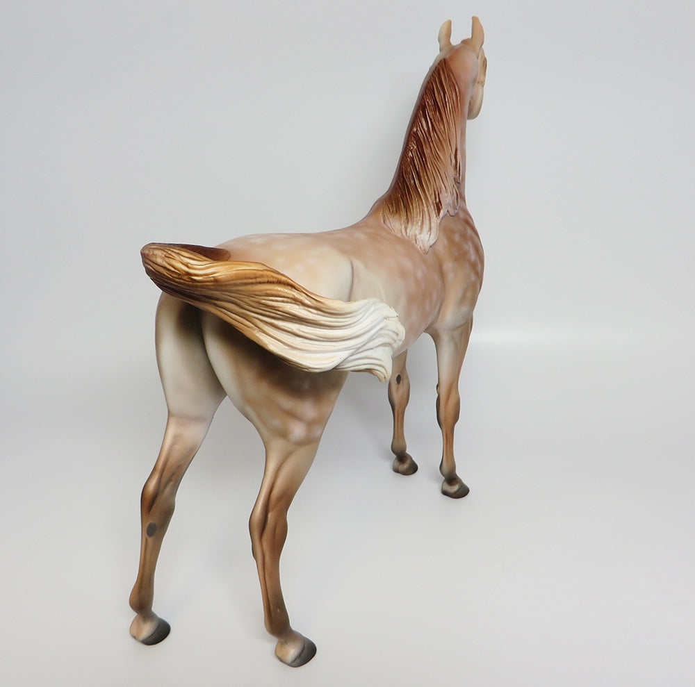 WASABI~OOAK STAR DAPPLE CHESTNUT GOING GREY ARABIAN MODEL HORSE BY DAWN QUICK 9/20/17