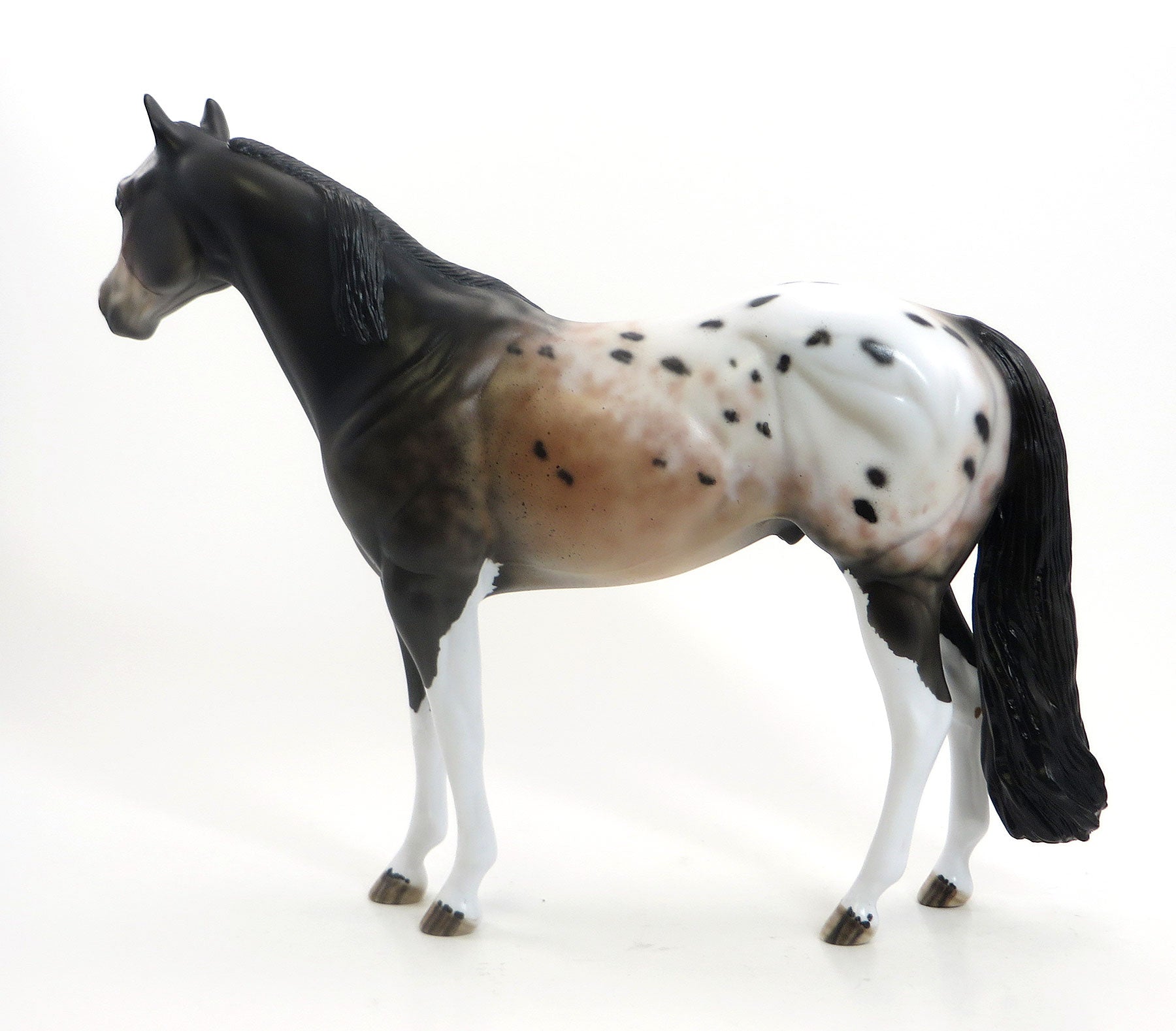 SIMONTONIAN - OOAK Bay Roan Appaloosa Stock Horse 7/24