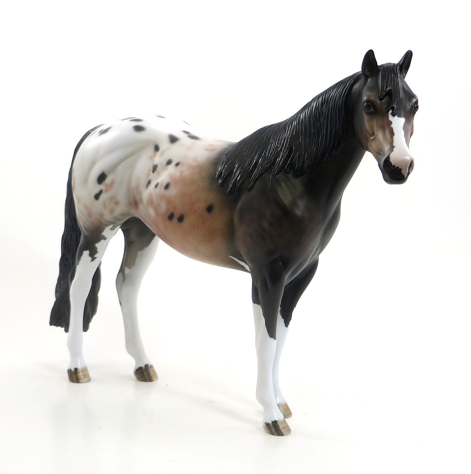 SIMONTONIAN - OOAK Bay Roan Appaloosa Stock Horse 7/24