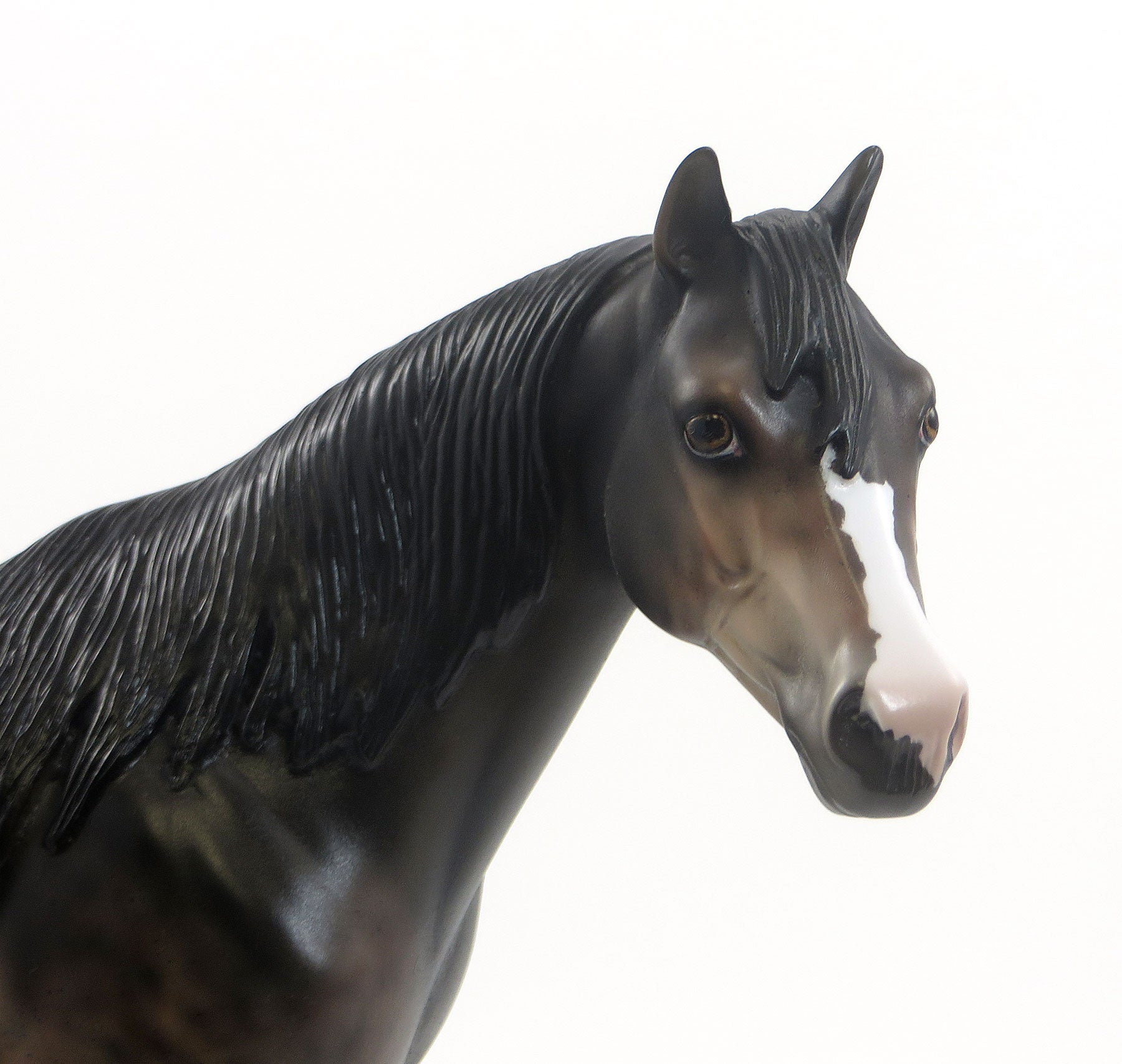 SIMONTONIAN - OOAK Bay Roan Appaloosa Stock Horse 7/24