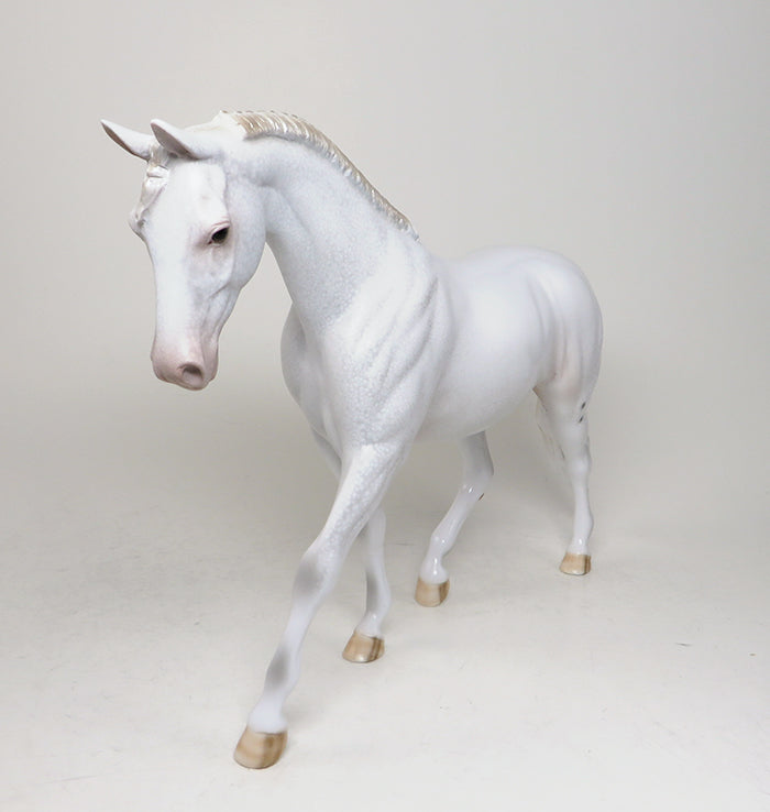 talent in our own backyard