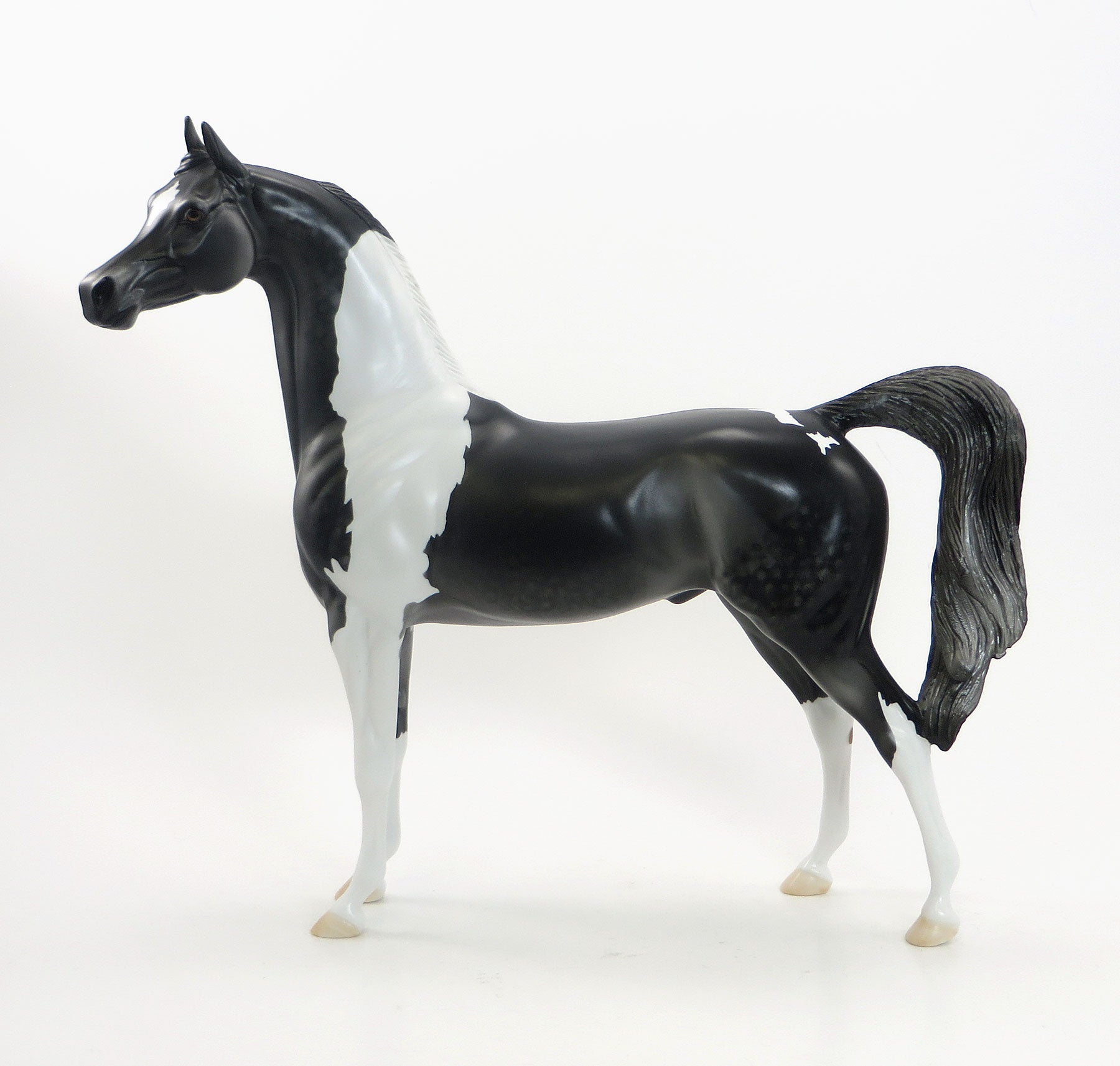 SHOOTIN' IRON -EQ 2015 LE6  Non- Custom Dark Dapple Grey Pinto Arabian 7/23