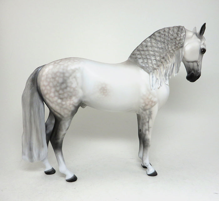 barcelona dapple grey andalusian 