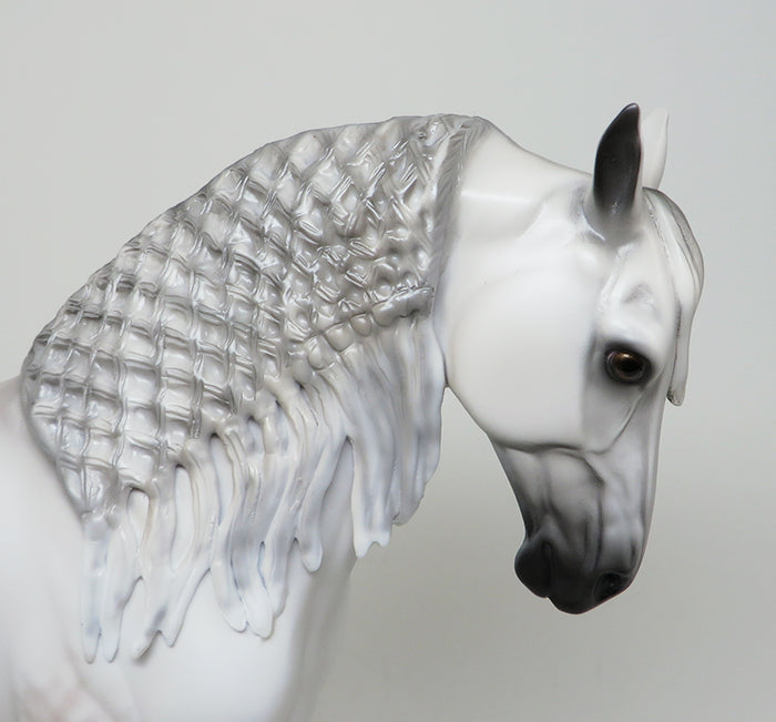 dapple grey andalusian