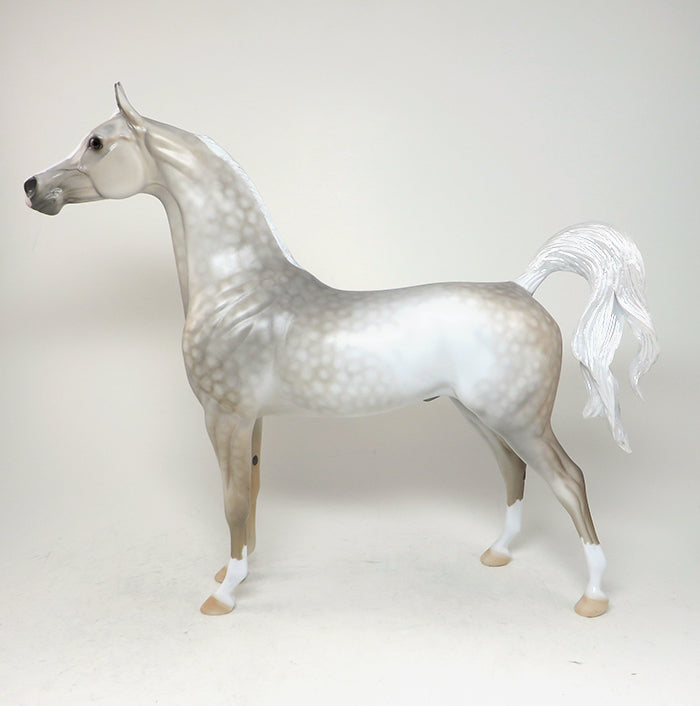 maleeki limited edition arabian 