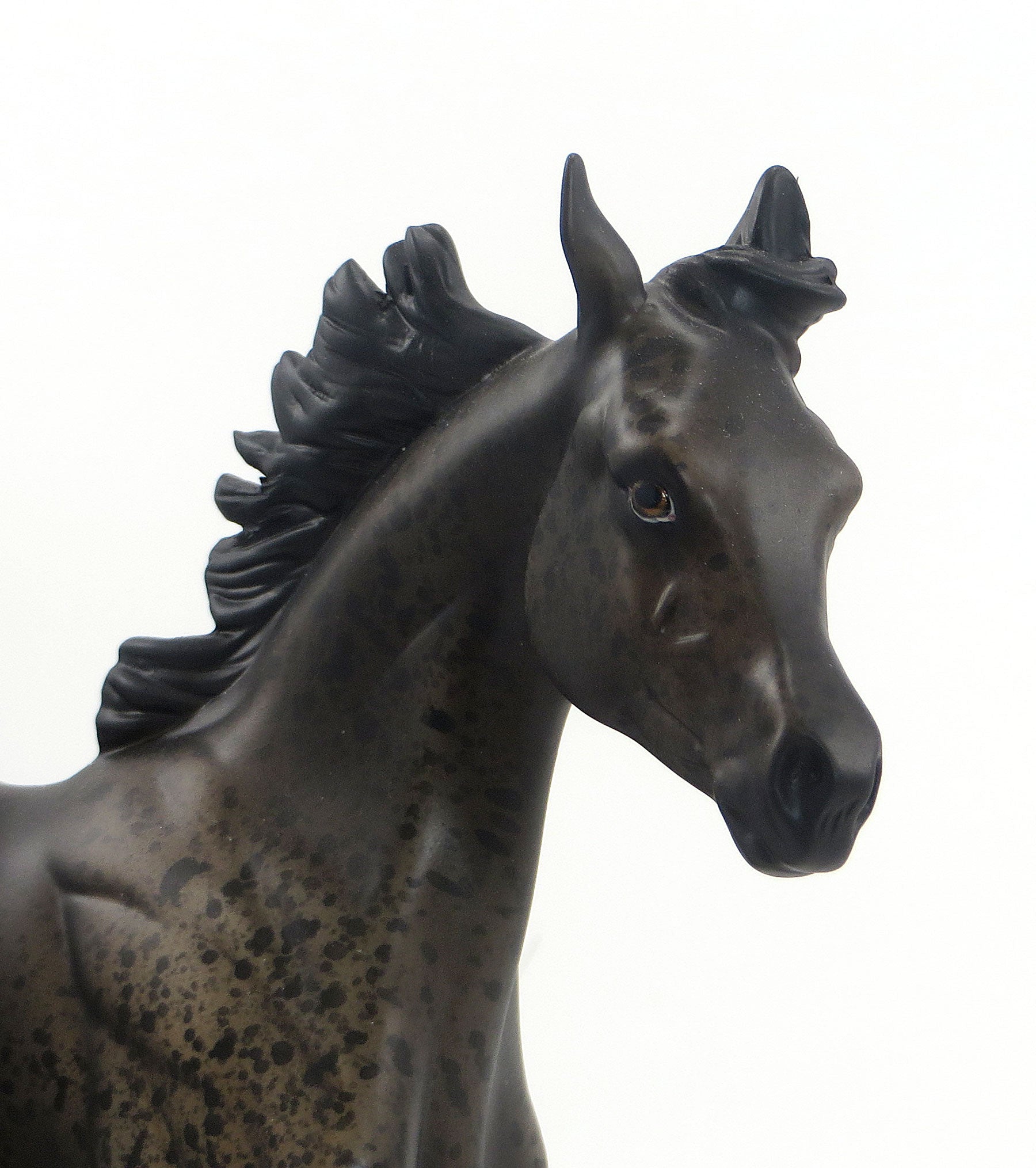 DIRT PUDDING- OOAK Seal Bay Roan Weanling 7/23