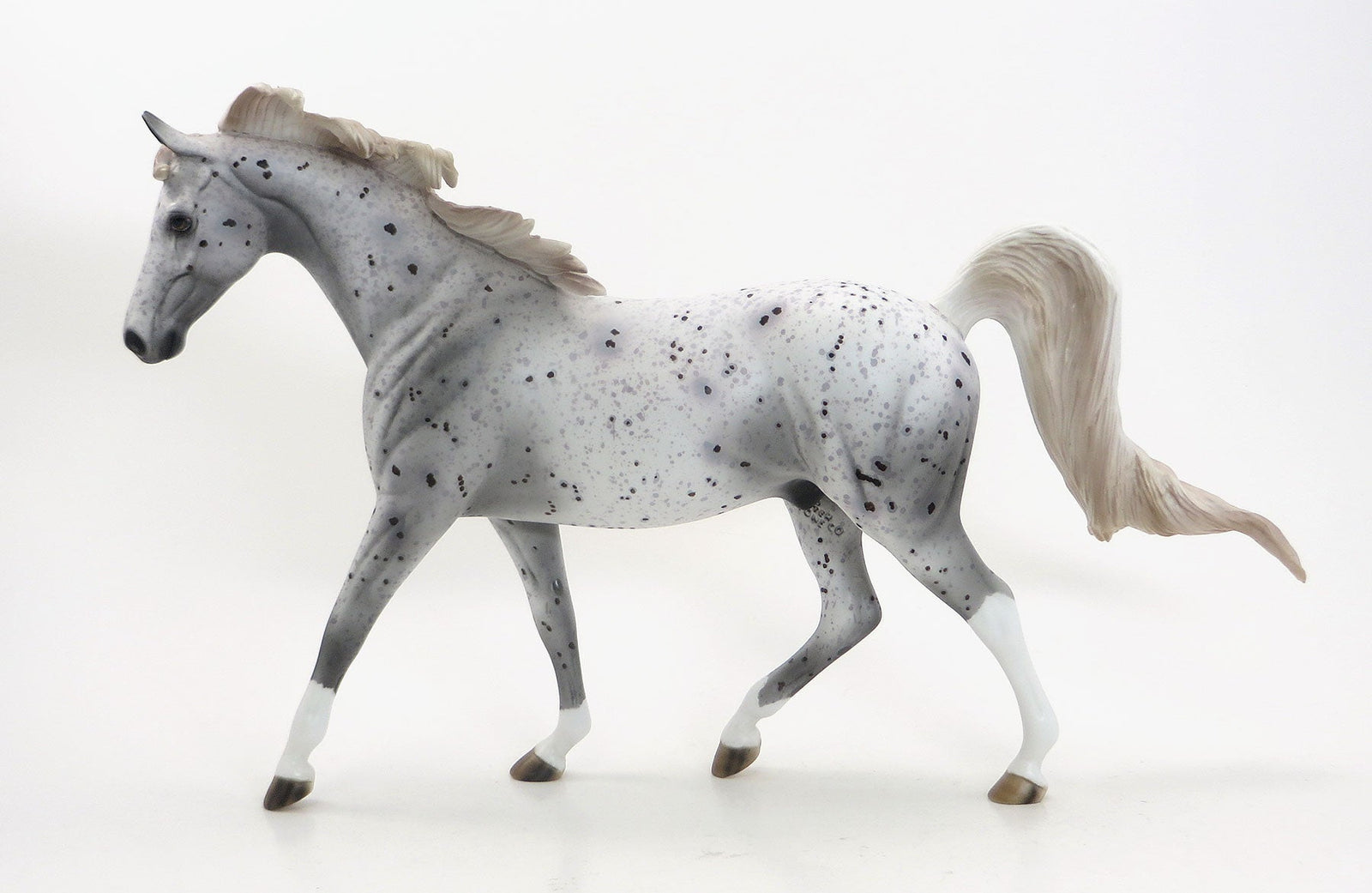STAR TRACER- OOAK Grey Appaloosa  Pony 7/31