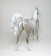 peter stone arabian 