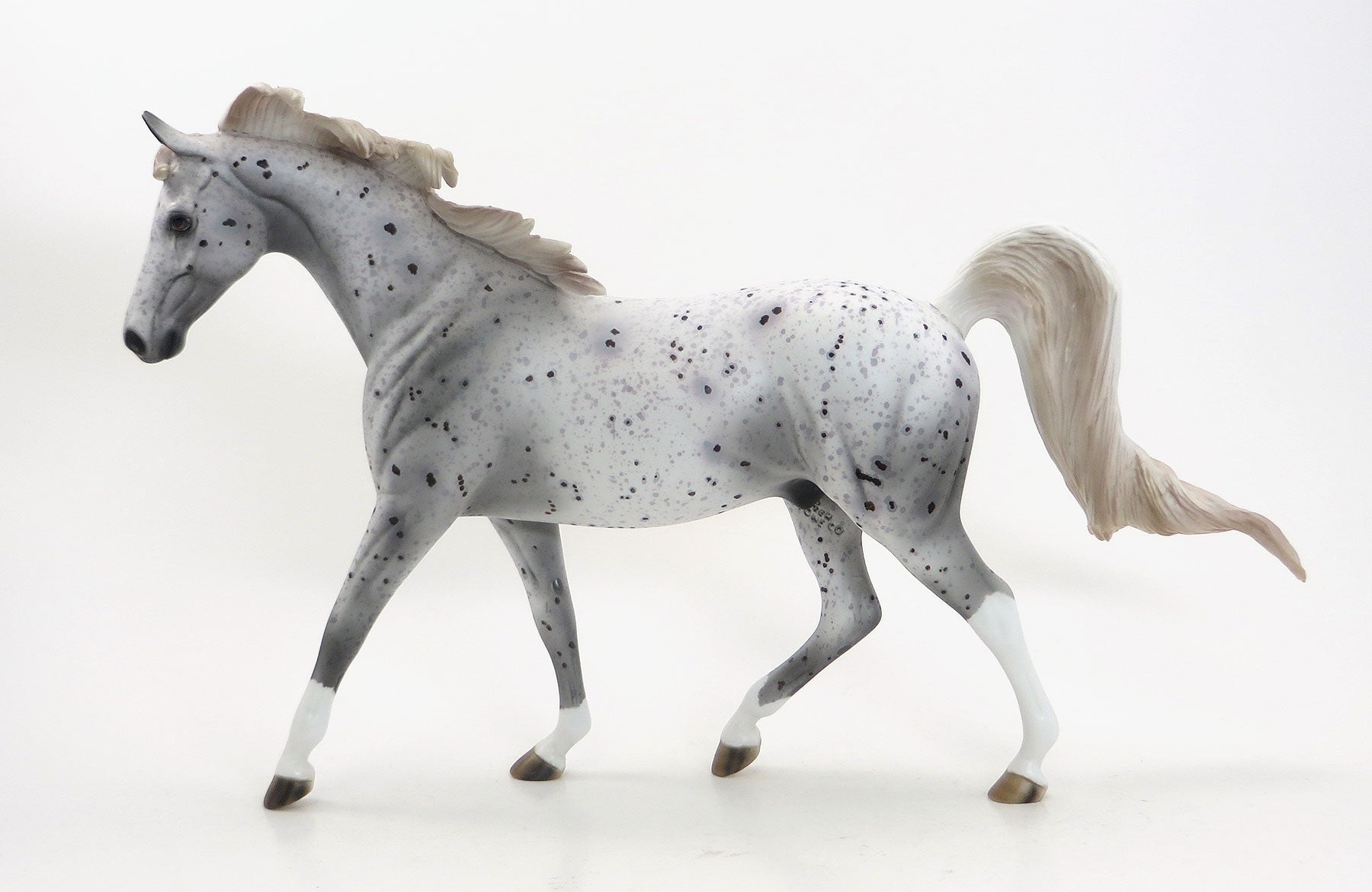 STAR TRACER- OOAK Grey Appaloosa  Pony 7/31