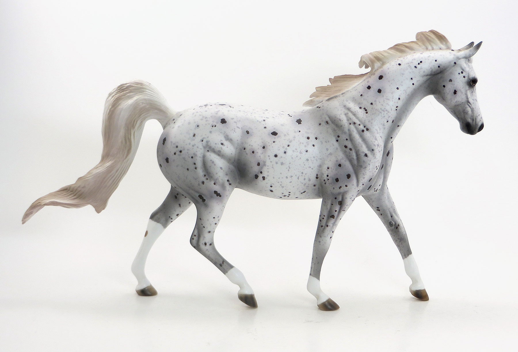 STAR TRACER- OOAK Grey Appaloosa  Pony 7/31