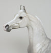 dapple grey arabian