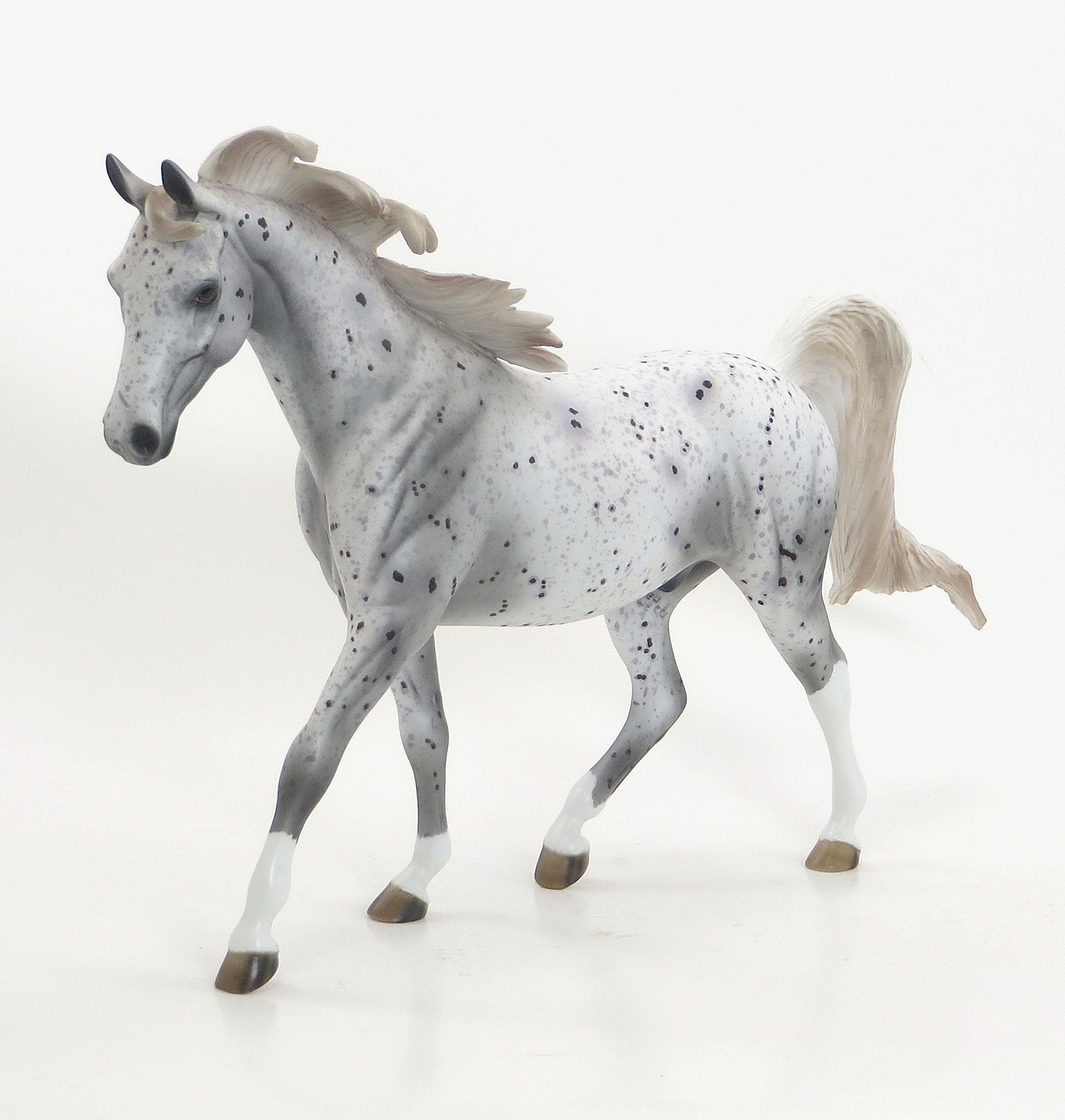 STAR TRACER- OOAK Grey Appaloosa  Pony 7/31