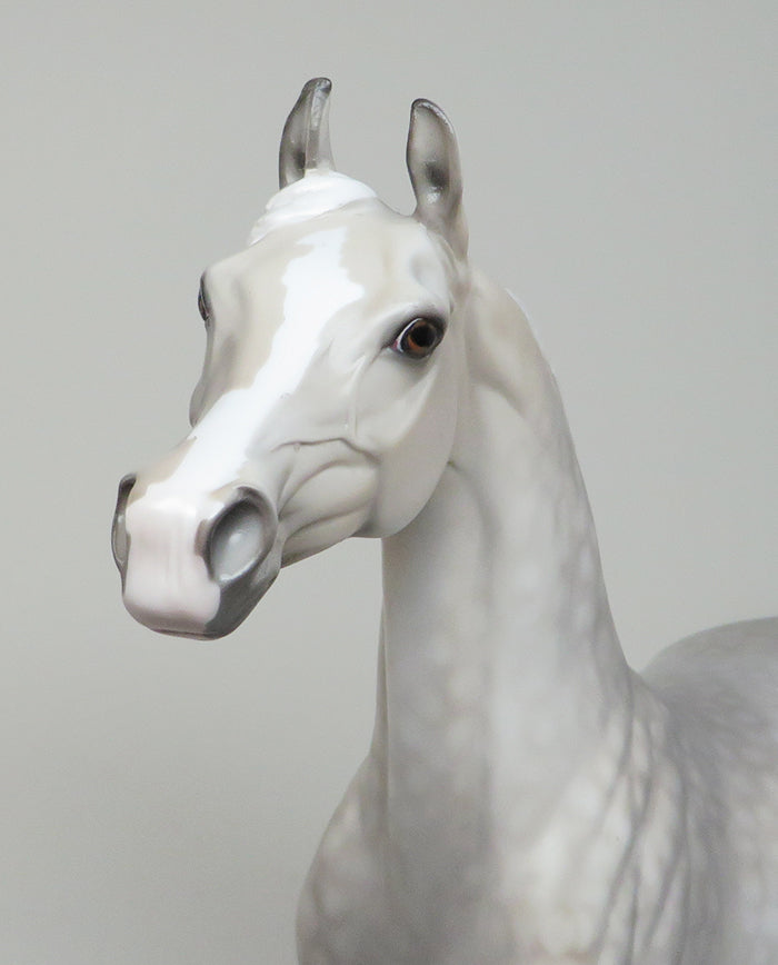 sheryl leisure arabian maleeki