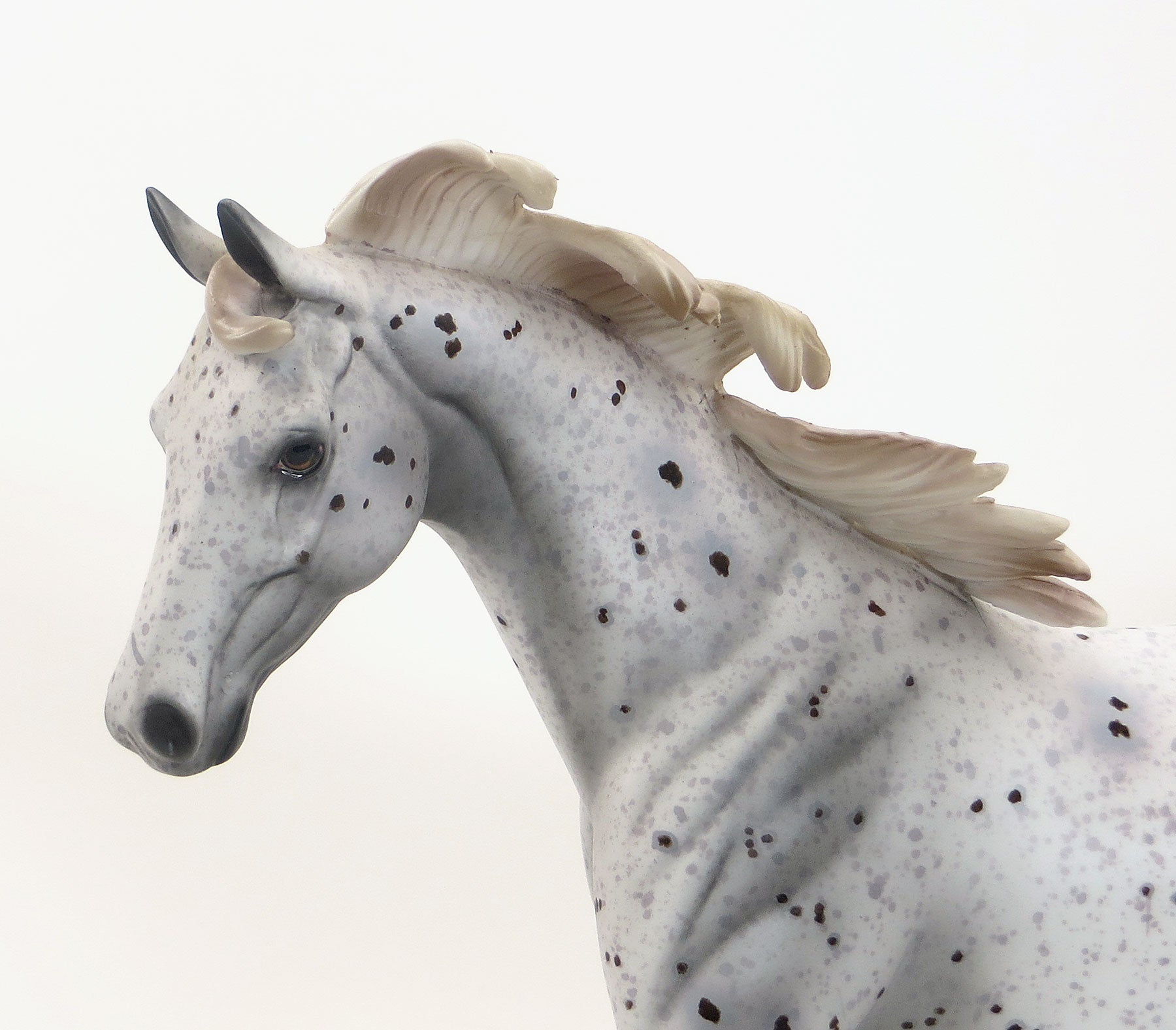 STAR TRACER- OOAK Grey Appaloosa  Pony 7/31