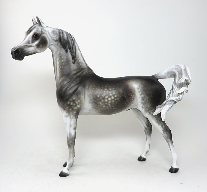 jafar star dapple arabian