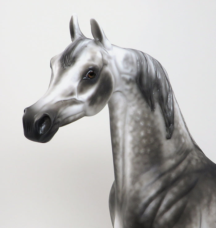 JAFAR-LE-2 DARK STAR DAPPLE GREY ARABIAN MODEL HORSE By Sheryl Leisure 4/28