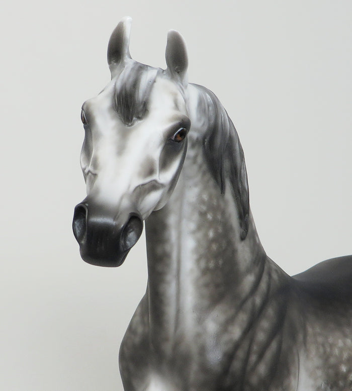 JAFAR-LE-2 DARK STAR DAPPLE GREY ARABIAN MODEL HORSE By Sheryl Leisure 4/28