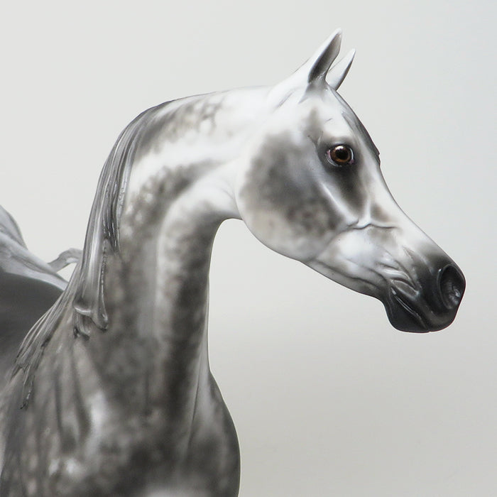 JAFAR-LE-2 DARK STAR DAPPLE GREY ARABIAN MODEL HORSE By Sheryl Leisure 4/28