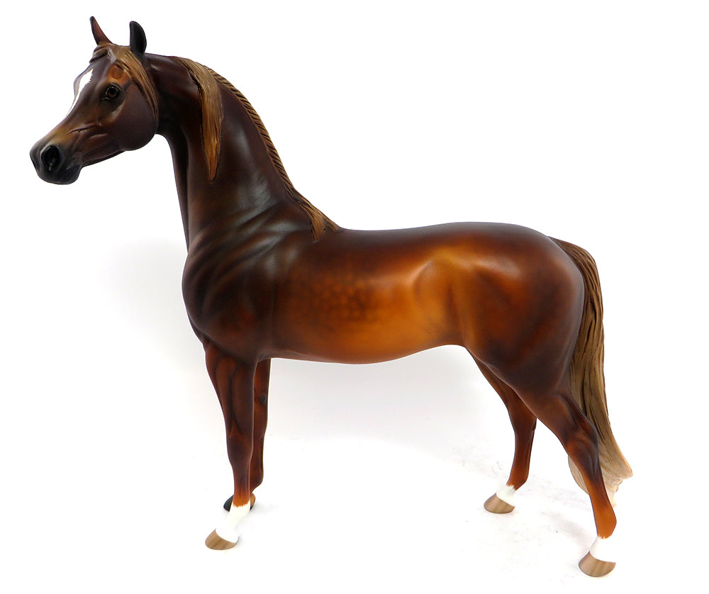 arabian