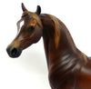 liver chestnut