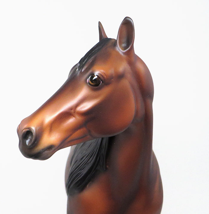 barrel champion horse 