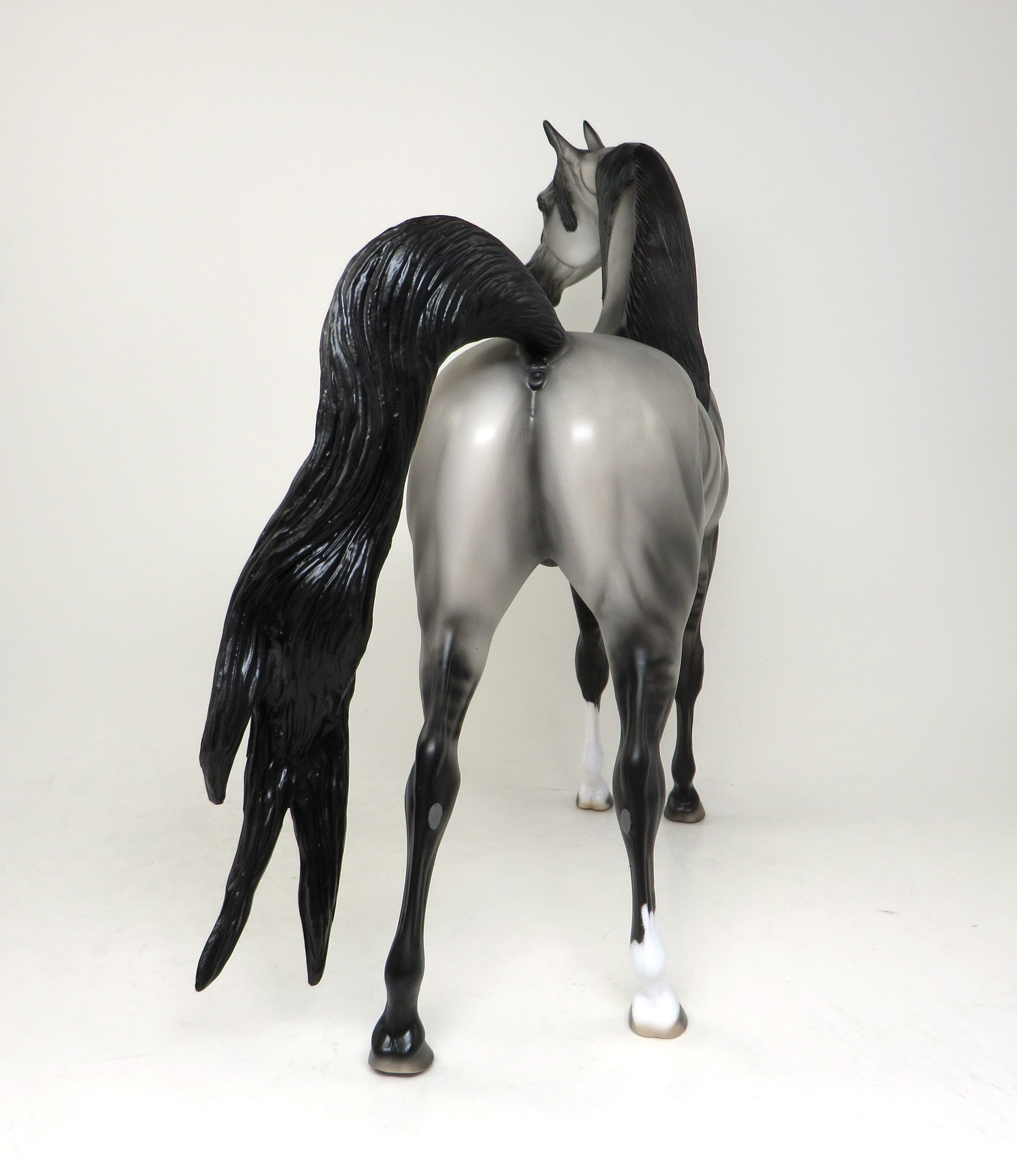 GOT YOUR BACK-OOAK GRULLA  ARABIAN MODEL HORSE 4/29