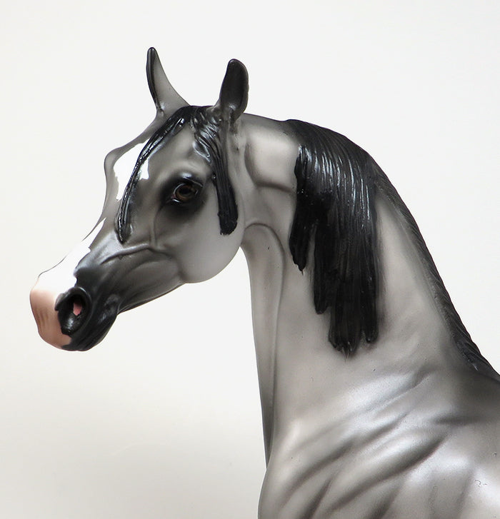 GOT YOUR BACK-OOAK GRULLA  ARABIAN MODEL HORSE 4/29