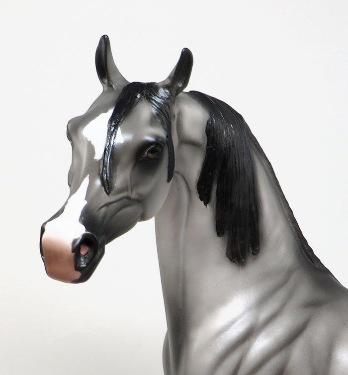 GOT YOUR BACK-OOAK GRULLA  ARABIAN MODEL HORSE 4/29