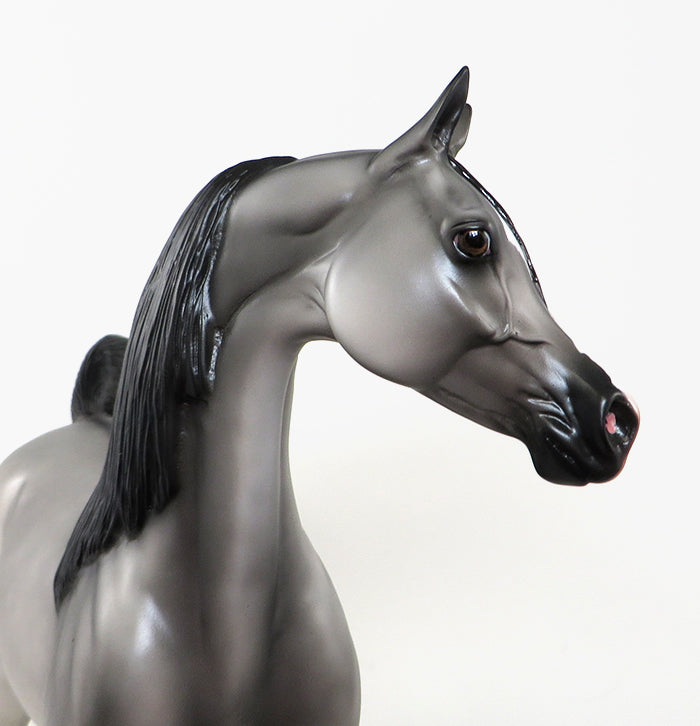 GOT YOUR BACK-OOAK GRULLA  ARABIAN MODEL HORSE 4/29