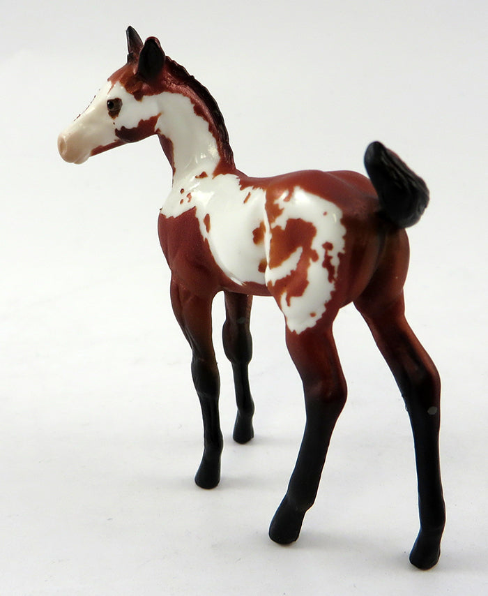 Foal