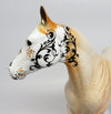 IGLESIA~OOAK PALOMINO ROAN ISH SUGAR SKULL BY DAWN QUICK 0/21/17