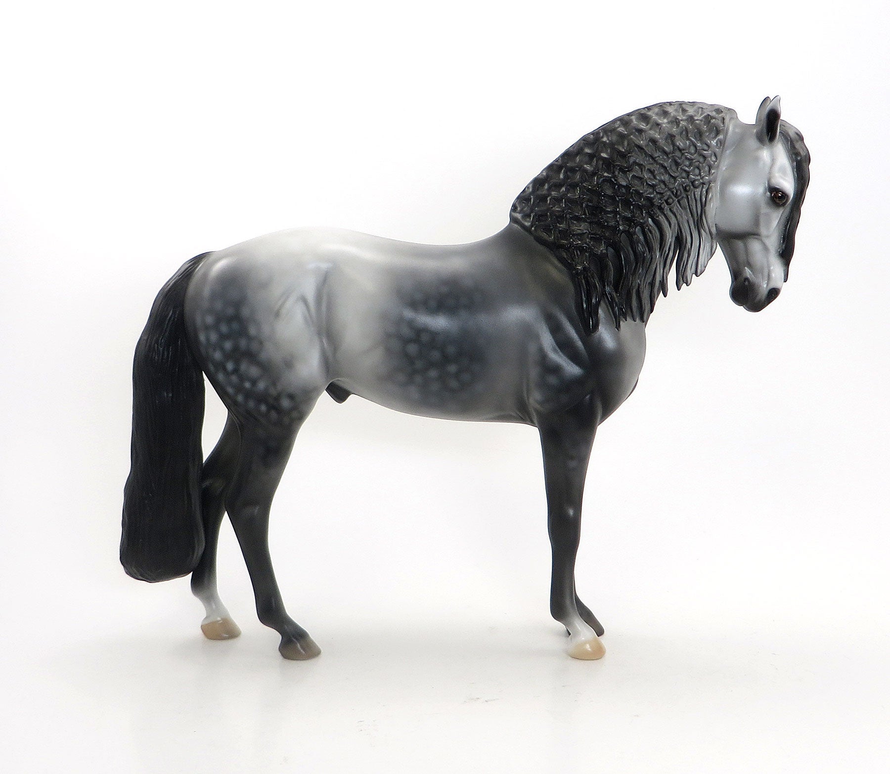 VOLTE - Dark Dapple Gray Andalusian W/Custom Blanket of Roses