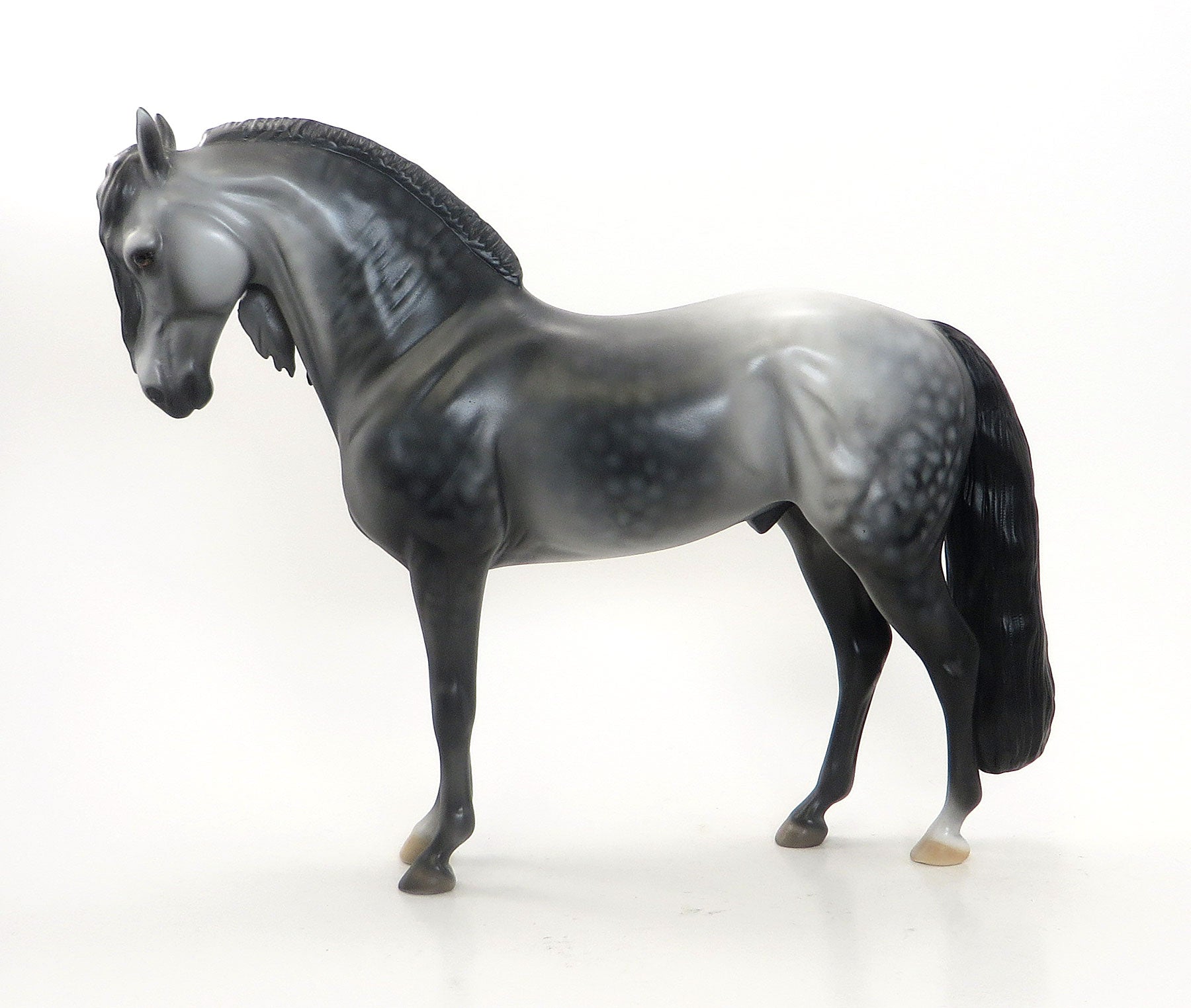 VOLTE - Dark Dapple Gray Andalusian W/Custom Blanket of Roses