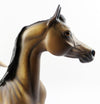 arabian