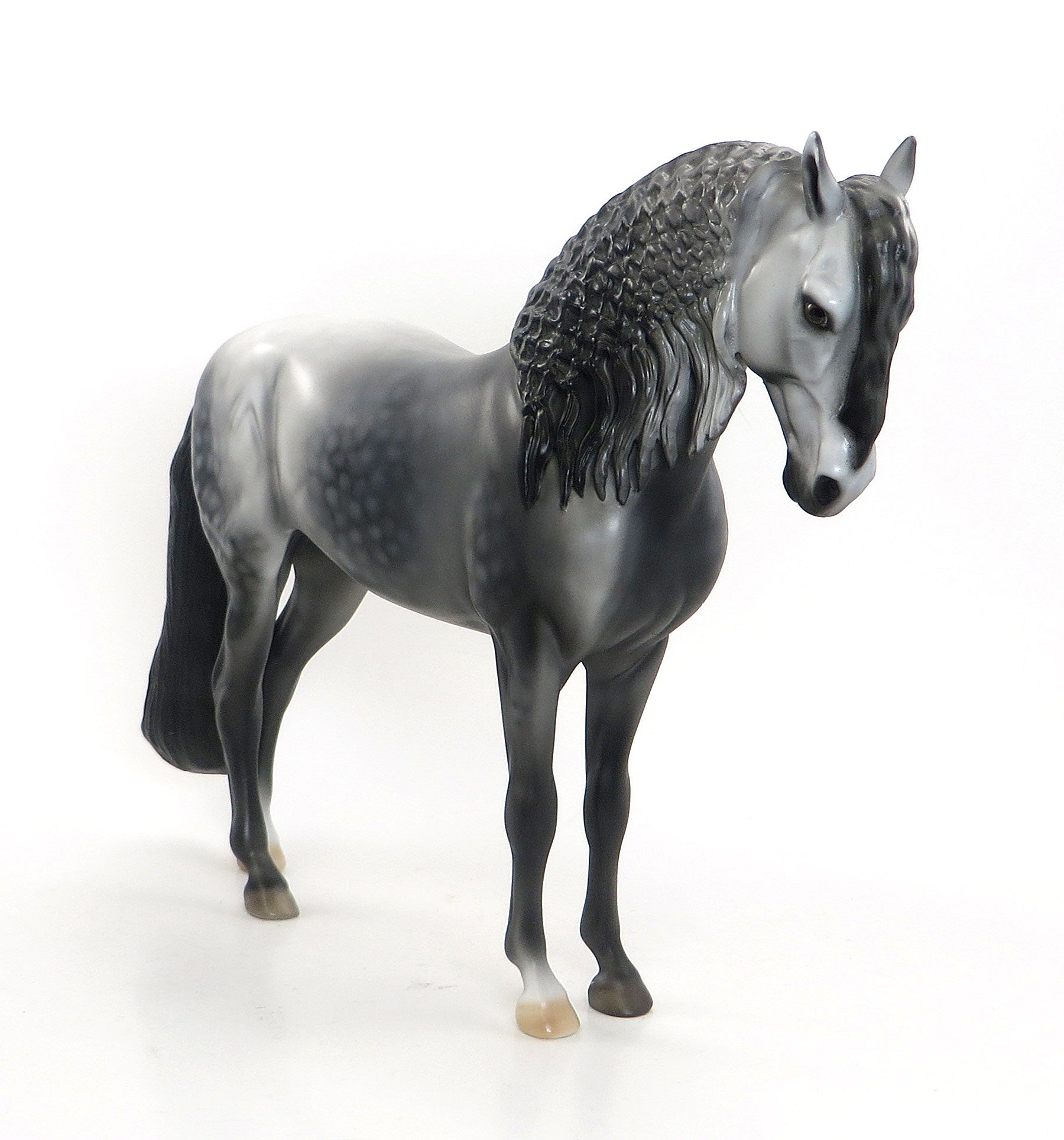 VOLTE - Dark Dapple Gray Andalusian W/Custom Blanket of Roses