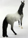 Andalusian