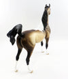 tobiano