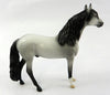 Stallion