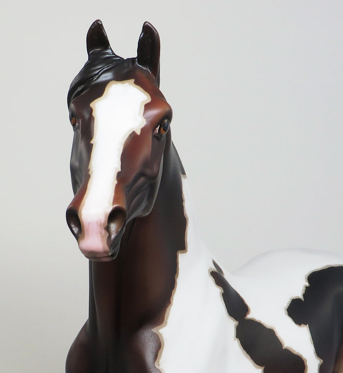 WHEN DOVES CRY-OOAK MAPPED PINTO MORGAN MODEL HORSE WITH BUTTERFLY 4/29